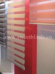 Cassette Zebra Blinds |