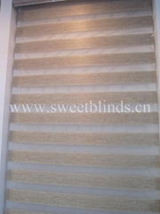 Combi Zebra Blinds 