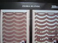 wary zebra blinds 2