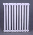 Cast Iron Radiators For Home Heating 2