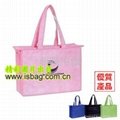 nonwoven bag ,giftbag.shopping bag,bag