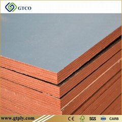 CONSTRUCTION PLYWOOD