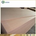 DIL Plywood (INDIA)