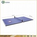 Table Tennis Panel 