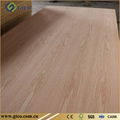 Red Oak Plywood  3