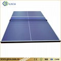 Table Tennis Panel 