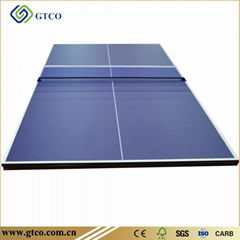 Table Tennis Panel