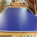 Table Tennis Panel 