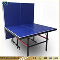 Indoor Pingpong Table 