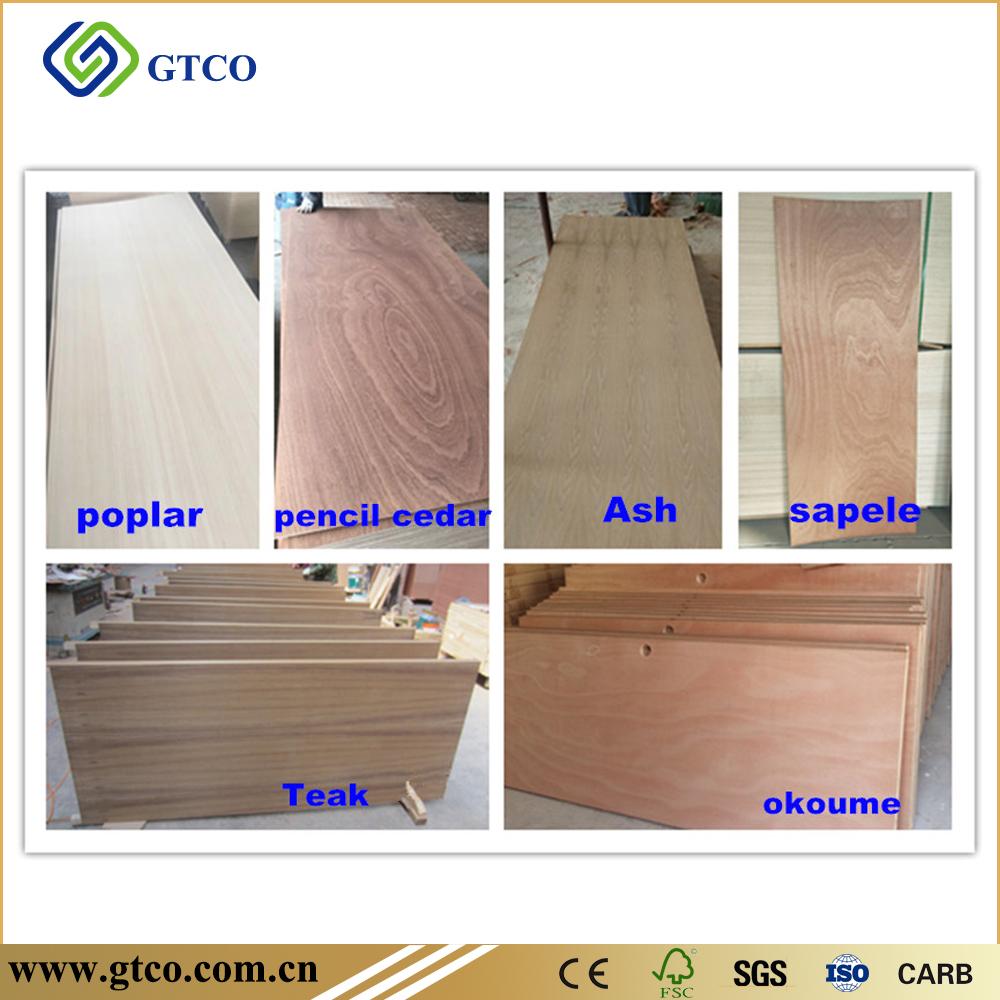 Veneer Hdf Door Skin 3