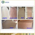 Veneer Hdf Door Skin