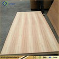 Tzalam plywood 