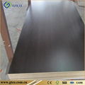 Black Film Faced Plywood