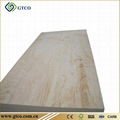 Pine Plywood