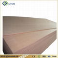 DIL Plywood (INDIA) 2