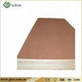 PKD Faced Combin core Plywood ( India)