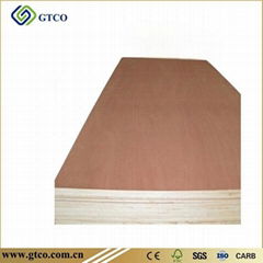 PKD Faced Combin core Plywood ( India)