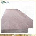 PKD Faced Combin core Plywood ( India)