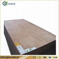 Keruing Plywood (India) 2