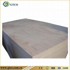 Mersawa Plywood