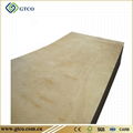 Mersawa Plywood 2