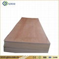 Caobilla plywood 1