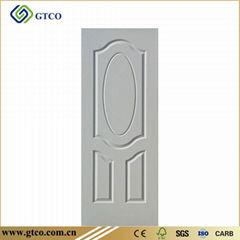 DOOR SKIN