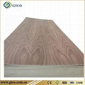 Ebony Plywood 