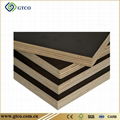 Black Film Faced Plywood 2