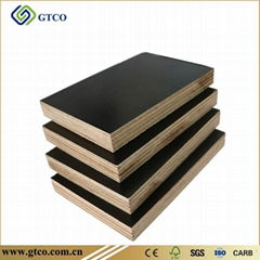 Black Film Faced Plywood