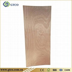 Sapeli Door Skin Plywood