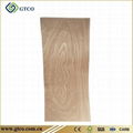 Sapeli Door Skin Plywood 3