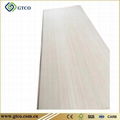 EP Veneer Plywood Door Skin