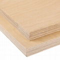 Birch  Plywood