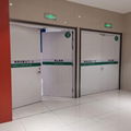 Double Swing Steel Fire Doors / Fire Rated door / Fire Proof Doors