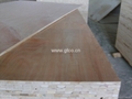 Paulownia Blockboard