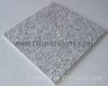 G602 Grey Granite