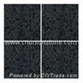 G684 Black Basalt Tiles