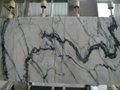 Clivia white marble with green vein 4
