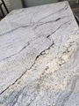 Viscon white granite slab