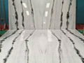 China panda white marble floor 1