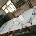 Italy white arabescato bianco marble