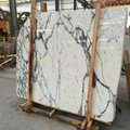 Italy white arabescato bianco marble