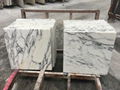 Cut to size arabescato marble tile 1