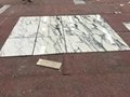 Cut to size arabescato marble tile
