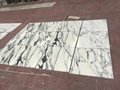 Cut to size arabescato marble tile 7