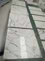 white calacatta 10mm thick marble tile 1