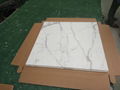 white calacatta 10mm thick marble tile 8