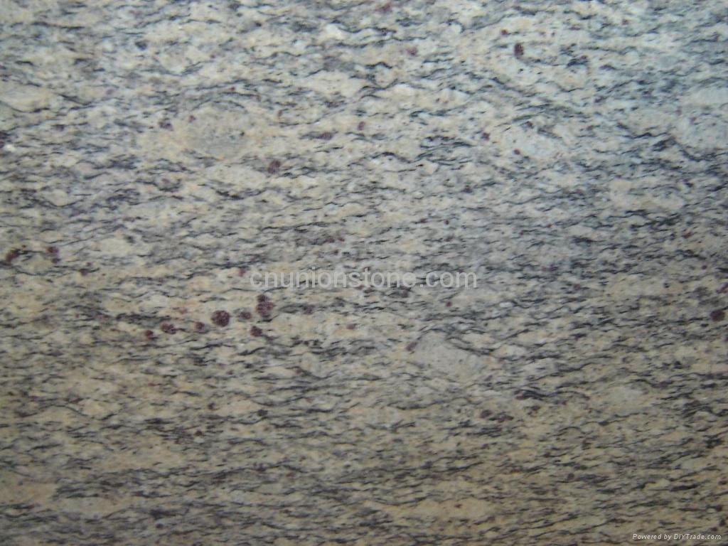 Giallo San Francisco Granite Slabs Tiles Union Stone China