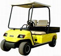 Plastic molding plastic (golf cart shell blister)